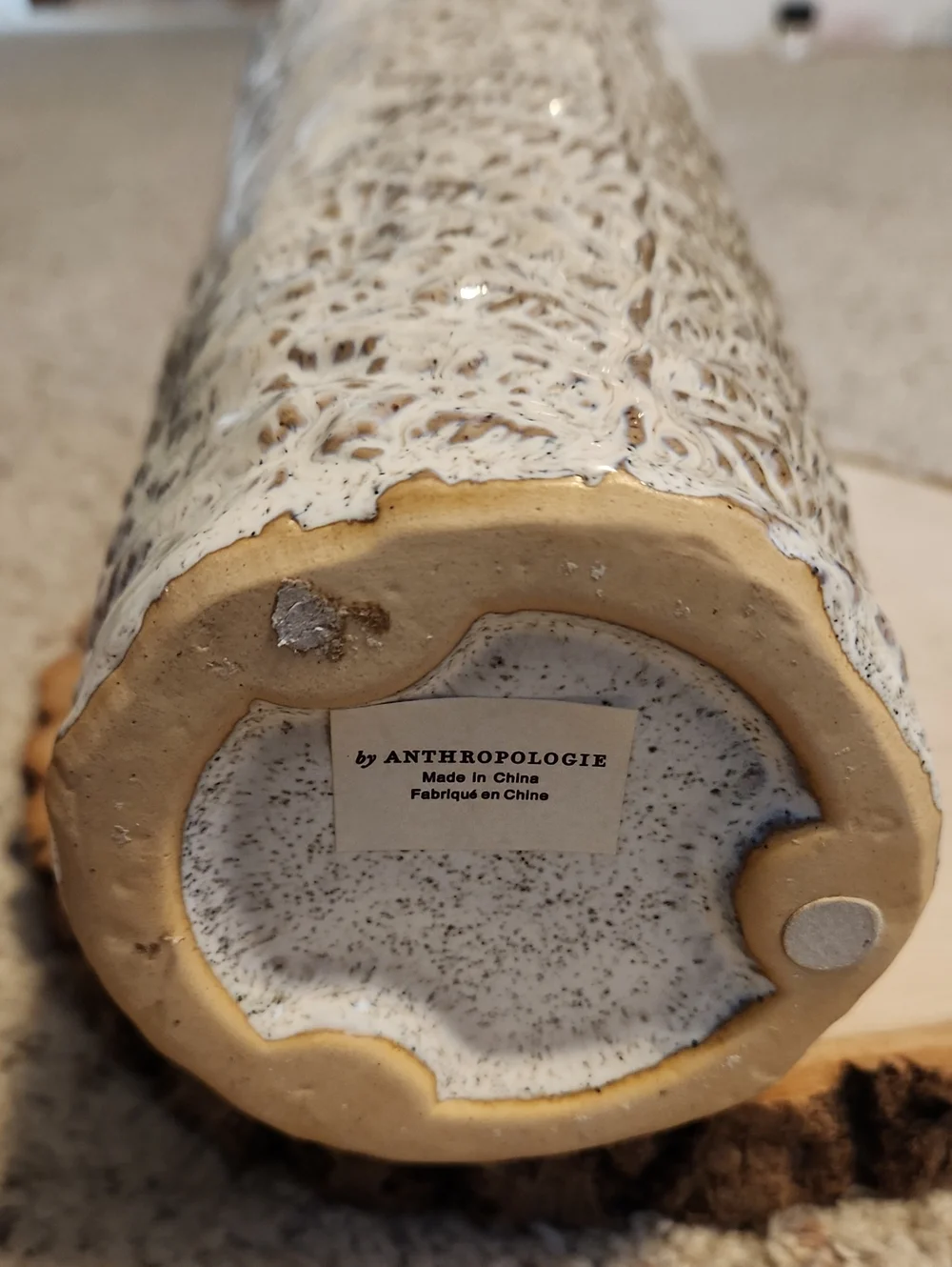 Anthropologie Textured Fern Design Vase 11.5